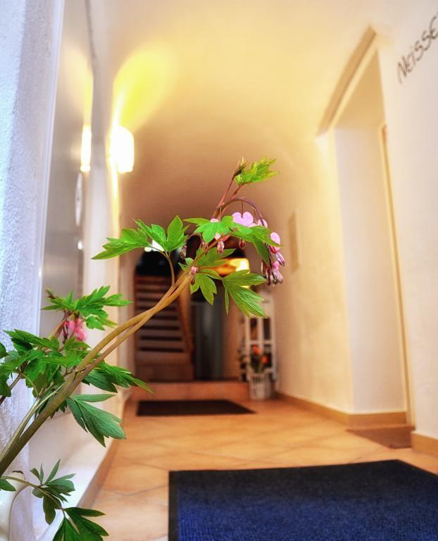 Altstadthaus Apartment